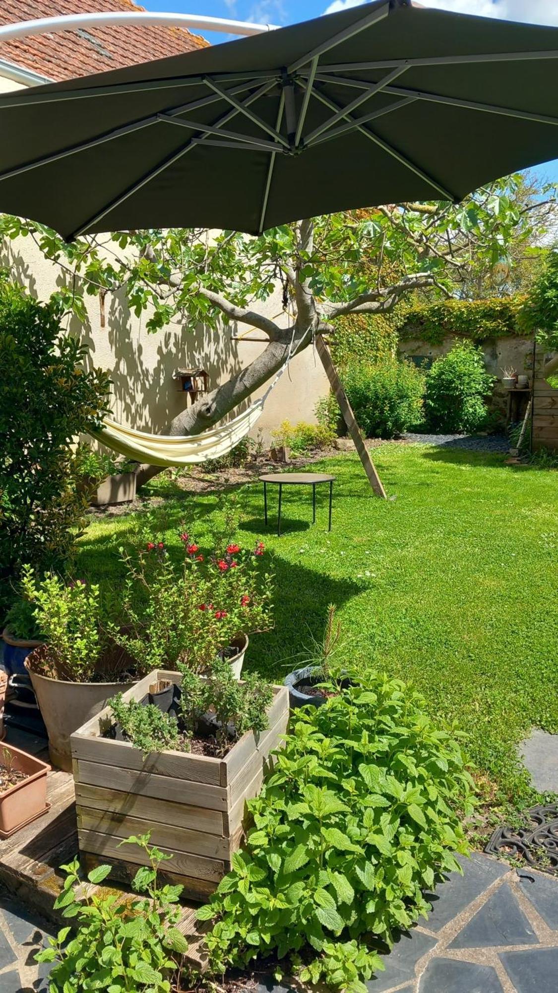 Chambres D'Hotes Bord De Loire Saint-Mathurin  Kültér fotó